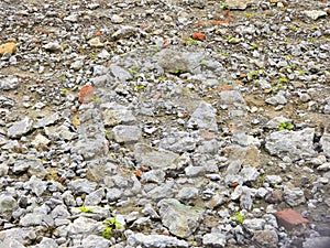 Construction waste from construction sites, crushed stone.