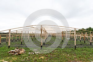 Construction of a wooden greenhouse in the field