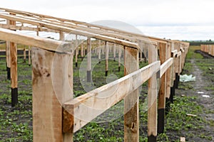 Construction of a wooden greenhouse in the field