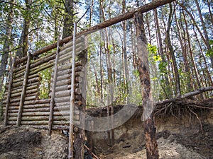 Construction of a wooden hut in the forest