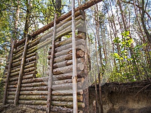 Construction of a wooden hut in the forest wide