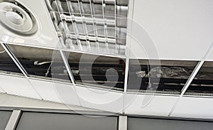 Construction worker assemble a suspended ceiling with drywall and fixing the drywall to the ceiling metal frame