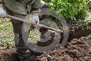 A construction worker digs a trench with a shovel in the Park. A trench for a pipeline or cable