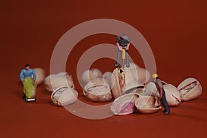 Construction Workers in Conceptual Food Imagery With Pistachio N