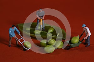 Construction Workers in Conceptual Food Imagery With Snap Peas