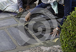 Construction workers are paving the sidewalk stone with cement