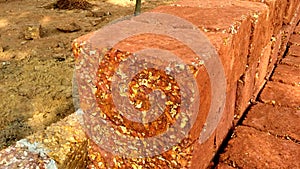 Constructional red bricks