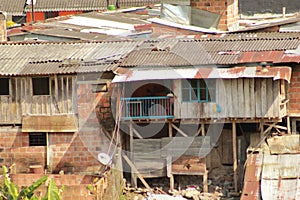 The others, a view of the back