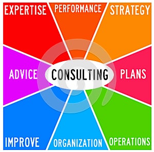 Consultancy diagram photo