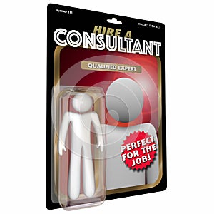 Consultant Action Figure Expert Experienced Professional