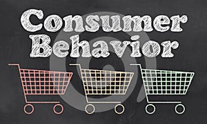 Consumer Behavior photo