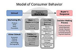 Consumer behavior model consist of stimuli, buyer\'s black box and response photo