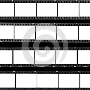 Contact sheet blank film frames