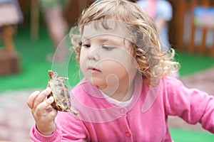 Contact zoo, turtles in kids hands.