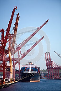 Container cargo ship in port