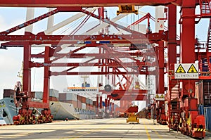 Container Cargo Ship Unloading