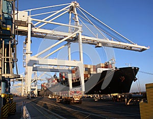 Container Cargo Ship Unloading