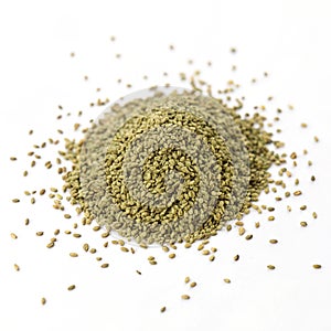 Celery Seed