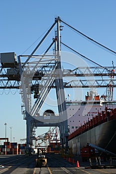 Container Crane 4