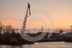 Container crane on sunset background