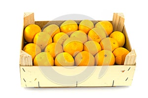 Container filled with mandarins photo