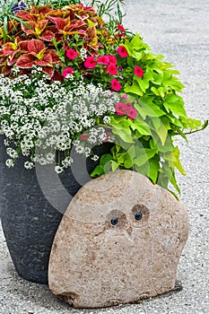 Container Garden with Flowers and A Rock with Owl Face