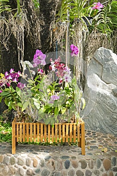 Container garden. Planters with different kind of flowers. Flower pots outside. Beautiful view. Nature concept