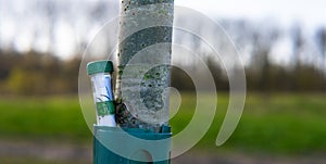 Container for geocaching on the trunk of a tree