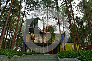 Container house in the forest