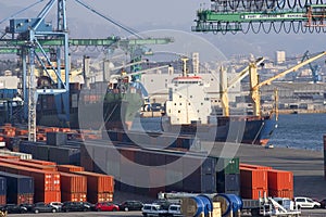 Container on the port