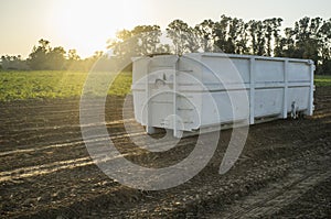 Container for roll-off skip loader at potatoes field