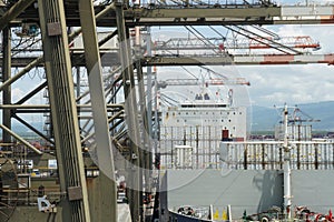 Container ship fully loaded with white reefer containers during cargo operation.