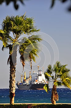 Container ship in the roads