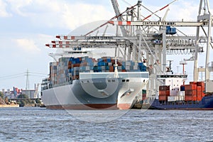 Container ship on terminal photo