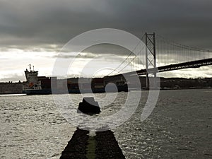 Container ship under bridges.