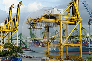 Container ships and cranes at Singapore harbor
