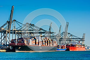 Container Ships docked in Rotterdam Harbour