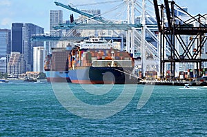 Container Ships in the Port of Miami