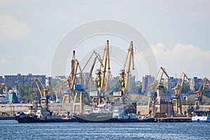 Container terminal in a commercial port