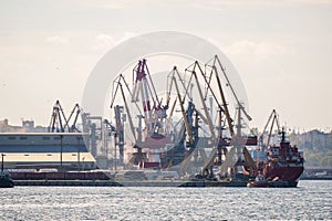 Container terminal, with cranes