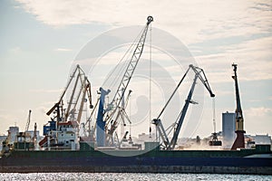 Container terminal, with cranes, in a commercial port