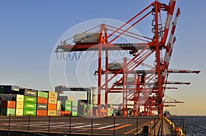 Container Terminal in Odaiba, Tokyo