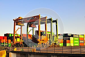 Container Terminal in Odaiba, Tokyo