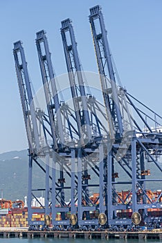 Container terminal in the sea port, view on the gantry cranes.