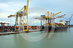 Container terminal with stowed containers from different shippers gantry cranes and straddle carriers in Livorno