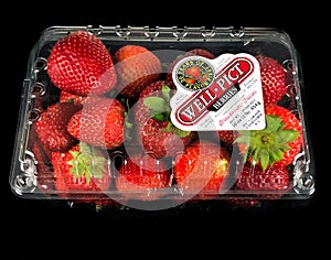 Container of Well Pict Berries on Black Backdrop