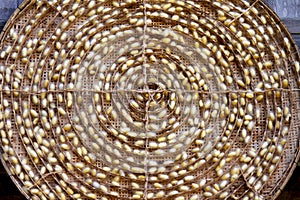 The container of white cocoon.