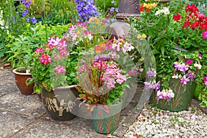 Containers filled with colorful plants.