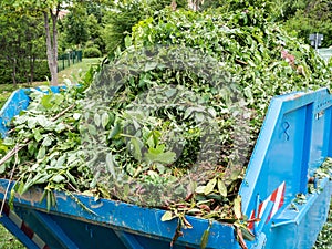 Containers with green waste recycling