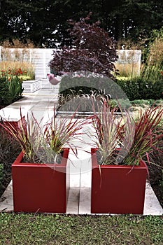 Containers of Imperta rubra Cylindrica